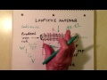 How a Loopstick Antenna Works