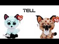 Whats LoGIcAlL?! ~remake~ (Beanie boos+LPS)