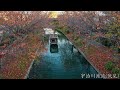 (4K) Kyoto in Autumn Foliage, Compilation (2005-2021)