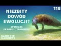Potęga ewolucji - jak ssakom i gadom udało się wrócić do mórz? | dr Daniel Tyborowski
