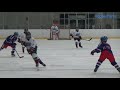 Burnaby Peewee A1 Top 20 Goals