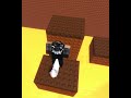 Tower but the floor is lava (Roblox)