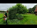 This Farm NEEDS SATISFYING Pruning Of OVERGROWN Hedge Next To Stables