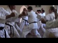 Byron Shire Shotokan Karate and Self Defence