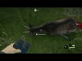 Tiny Fallow Deer!! | The Hunter Call Of The Wild