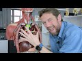 Lung lymphatics (anatomy)