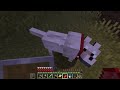 On capture une armée de chiens de combat ! Minecraft 1.21 EP2