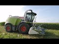 Maisernte Teil 2 / Claas Jaguar 950 und Fendt Favorit 926 mit Tebbe-Ladewagen 7.10.23