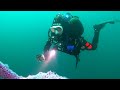 Scuba Diving HMNZS Canterbury wreck, New Zealand