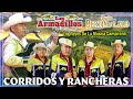 Los Armadillos de la Sierra, Dueto Bertin y Lalo Puras Pá Pistear — Puros Corridos Chingones Mix