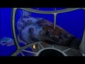 Void Chelicerate Observatory in Subnautica: Below Zero