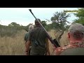 Confrontation skills of professional hunters in hunting lions, kings of the jungle