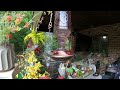 Slow Motion Hummingbird Hangout