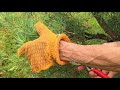 Pruning 'Niwaki' Japanese Garden Trees