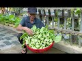 Grow Vegetables At Home With Just Plastic Bottles, Never Need To Buy Vegetables