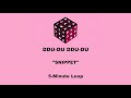 BLACKPINK - 'DDU-DU DDU-DU' Perfect Loop (5 Minute Snippet)