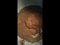 Cinnamon, sugar and water experiment. PLEASE HELP!