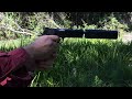 Firing a suppressed .45 pistol