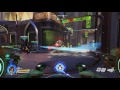 KinRyu D.Va Shenanigans