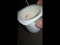 Activa yogurt review. very disappointed.