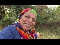 भरी  दोपहर मैं  खेत में आकर देखती हूँ Gardening Vlogs #sunitasharmaplantlover