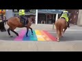 Homophobic horses.