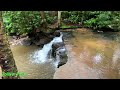 Surreal early morning ambiance at Maryland's Swallow Falls Canyon Trail | 3 Waterfalls!