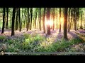 Classical Morning | Uplifting, Relaxing Classical Music