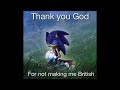 Thank you, God (Sonic Meme)