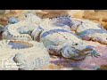 Winslow Homer & John Singer Sargent: Technique Comparison with Curator Nancy Burns