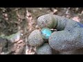 💥 2024 Bottle Digging Dump Digging #48 💥 Digging For Old Bottles And Marbles In A  Gully Dump ©