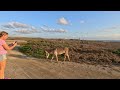 Kamini's Kitchen to Sero Colorado road walk (Leg 25)