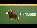 Достаточно ли вы умны для своего возраста?