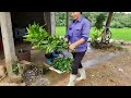 Tea picking girl attacked by bad guy under tree.Lý Nguyên