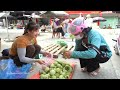 Harvesting Custard Apple Fruit Goes To Market Sell - Woodworking Make Bowl Shelf | My Bushcraft