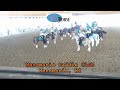 Day of the Horse Drill Teams 2023 Full Show