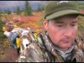 Monster 70inch Alaska bull moose and dall sheep hunt