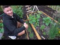 OUR BACKYARD GARDEN TOUR 2022🪴We Doubled The Size Of Our Garden This Year!