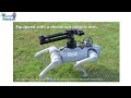 Robot In Action: Go2 Robotics Dog