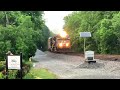 Train Knocks Down The Signal, RR Radio Audio Defect Detector!  5 NS Trains Wilmore & High Bridge, Ky