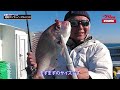 【一つテンヤ真鯛】釣れる！生きエビテンヤ３つの必釣法◎宮本英彦