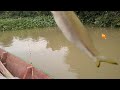 mancing di sungai dapat wader seluang babon#ikanseluang #mancing #microfishingindonesia
