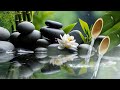 Relaxing Music 24/7, Stress Relief Music, Sleep Music, Meditation Music, Study, Calming Music