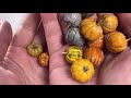 How to make miniature polymer clay pumpkins for crafts | Polymer clay tutorial | DIY mini pumpkin