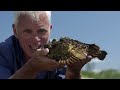 Weirdest Moments On River Monsters | River Monsters