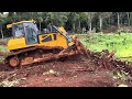 The wonderful project in the forest with heavy bulldozer