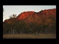Sunset at Waangardi Caravan Park Alice Springs
