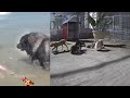 😆🐱 Best Cats Videos 😅😹 Best Funniest Animals Video 2024 #8