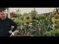 FRENCH GARDEN CENTRE TOUR | Spring in France | Charente Living