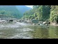 Brain Therapy for the Sound of River Water, Sleep Relaxation, Insomnia